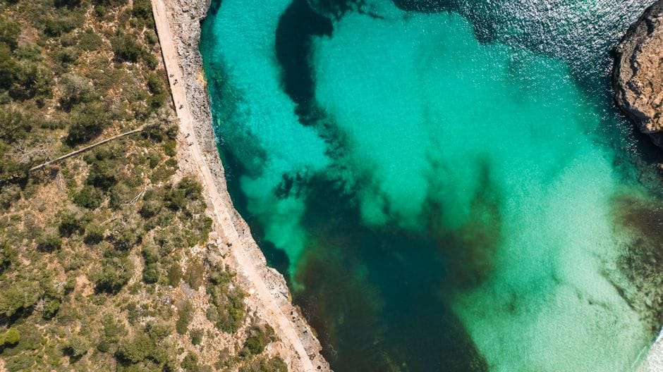 Es Codolar repolluée : jusqu'à 12 fois la limite d'E. coli