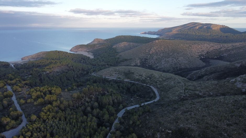 Sant Antoni : un bois jonché de déchets malgré 41 sanctions