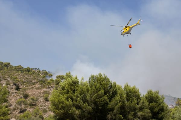 Incendie à Alaró : 2,1 hectares brûlés, feu maîtrisé en 3h25